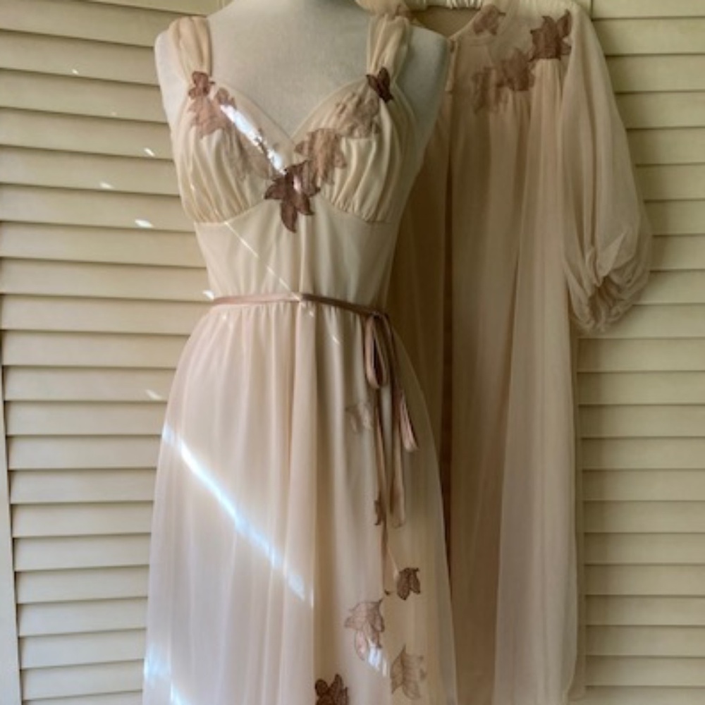 1960's Van Raalte Waltz Length Peignoir Set